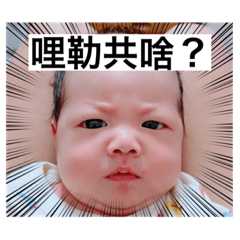宸哥的厭世圖