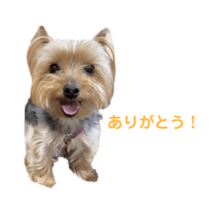 chiharu_20220929145138