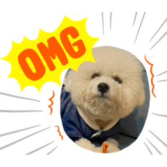 「秋」「比」特！❤️