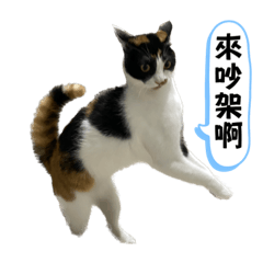 我脾氣很壞