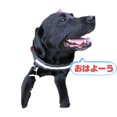 hana_20220929193721