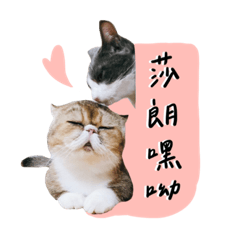弟弟大吉茉莉