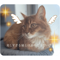 alice_20220929194623