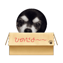 Vbooyqie Zyl0m Vbooyqie Zyl0m