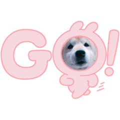 Hana.ya