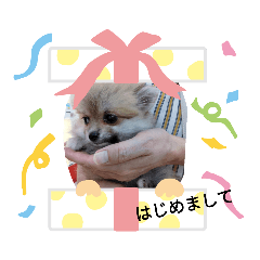 hana_20220929215613