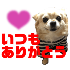 catk_20220929231829