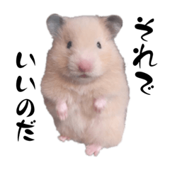 クリコのおまけ