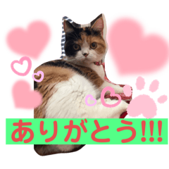 junko_20220930125507