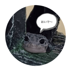 Mizuki_20220930140445