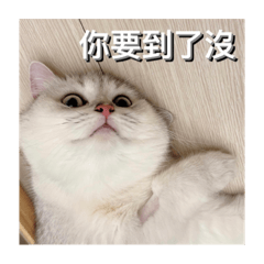 Smile_20220930114640