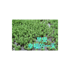 生活照-愛的碎碎唸_2