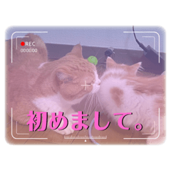 rin aoi_20220930133614