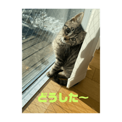 Hana_20221001093446