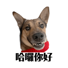 小寶粗粗