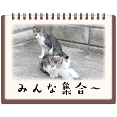 Hana_20221001082549