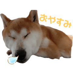 Hana_20221001023342