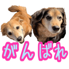 Eririn_20221001022956