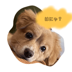 suzu_20220930195349