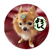 MOMO_20220930201223