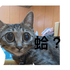 果園生活