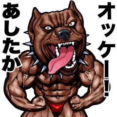 Asitaka dedicated Muscle macho animal