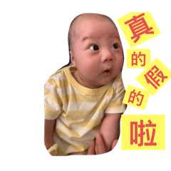 小饅頭首張貼圖