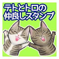 Teto and Tolo,cute cat sticker.