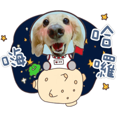 臘腸狗豆豆當太空人囉