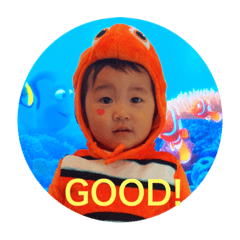 elico_bb_20220930223431