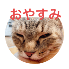 suzu_20220930200405