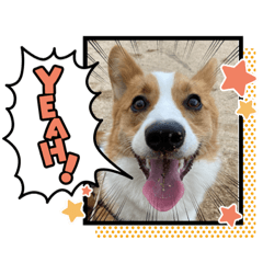 yuka_20220930222255