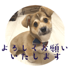 子犬さんスタンプ