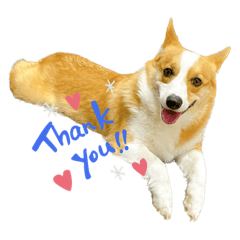 arisa_20221001125823