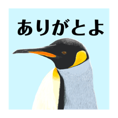 Kamiariduki_20220928231403