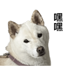 更多欸尼尼