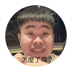 笙笙的日常表情包