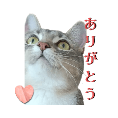 ruru_20221001182800