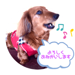 Ricky_20221001191241