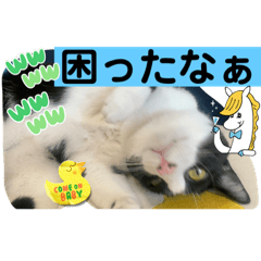 sayuri_20221001211612