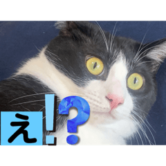 sayuri_20221001205821