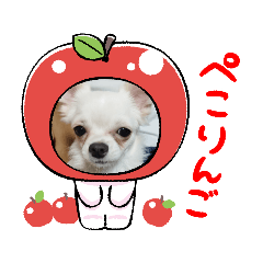 hanetomo_20221001221235