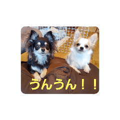 rina_20221001221606