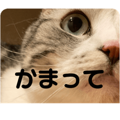 Hana_20221001215935