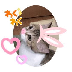 megumi_20221002010323