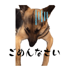 Momoko_20221001230256