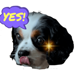 MIZUKI_20221002023110