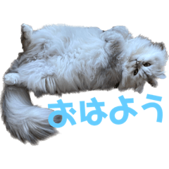 Peace_20221002125302