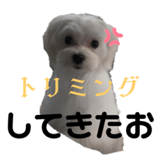ji_20221001235647