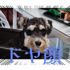 ボキちゃん♡の楽しい日常